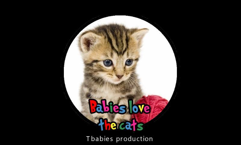 Babies love cats