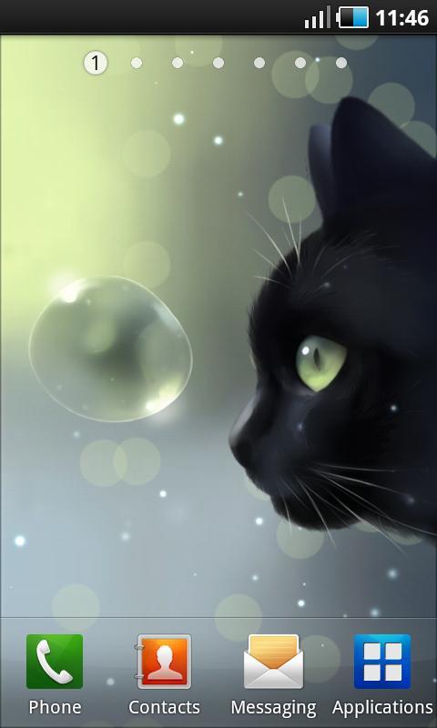 Curious Cat Lite