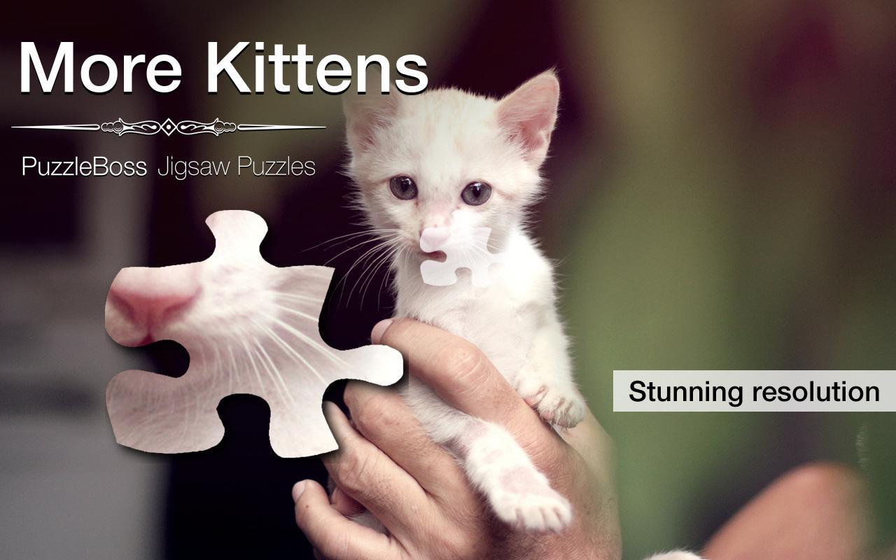 Jigsaw Puzzles: More Kittens