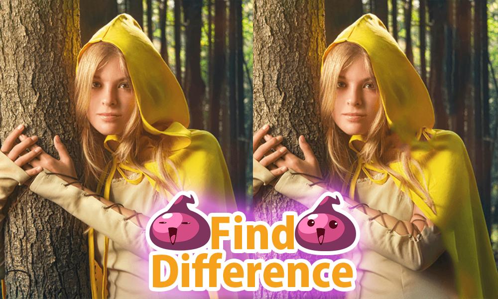 Guess the Difference 24