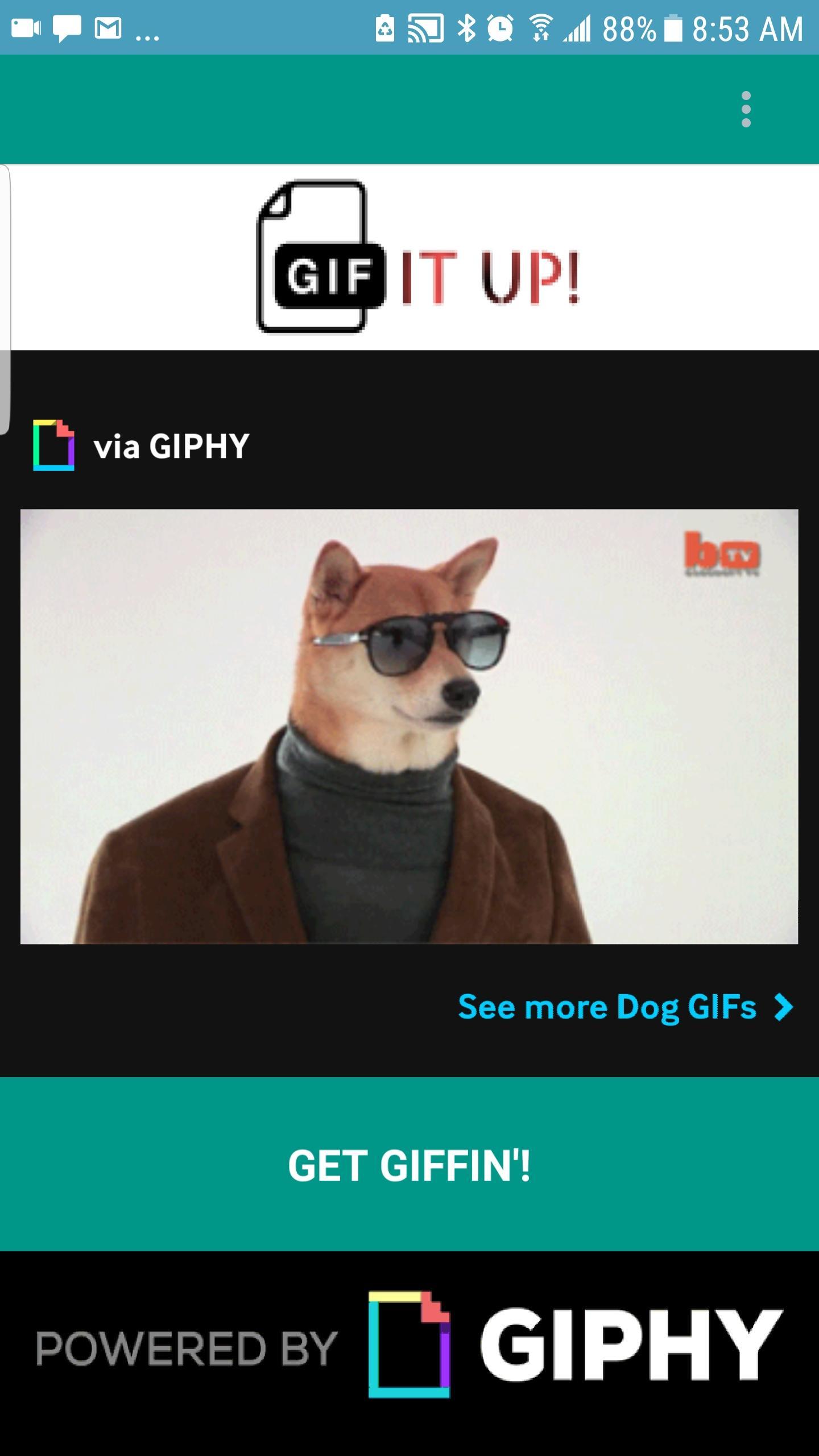 GIF IT UP!